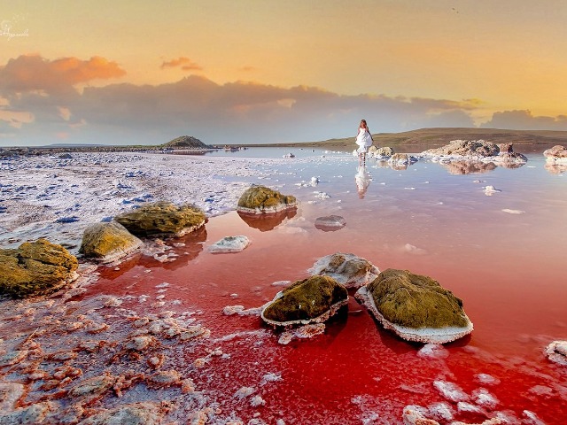 Фототур по Крыму: Керченский мост + розовое озеро из Геленджика