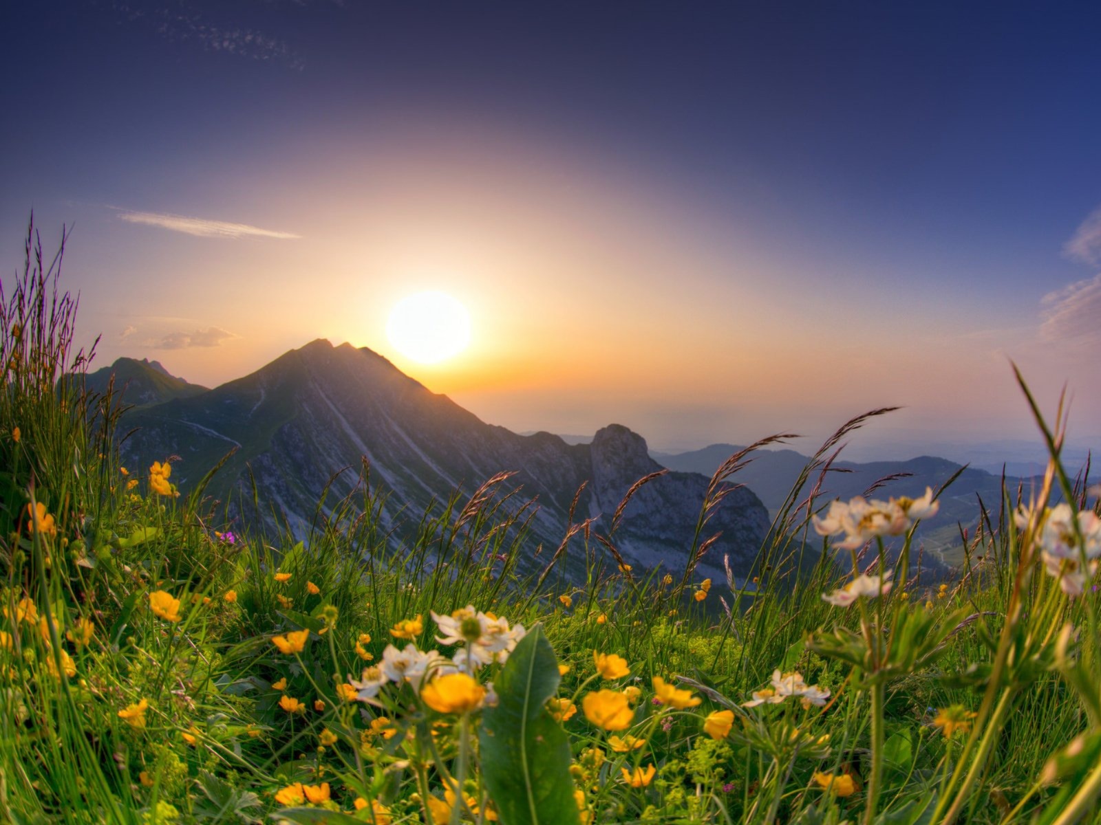 Альпийские луга guidego.ru