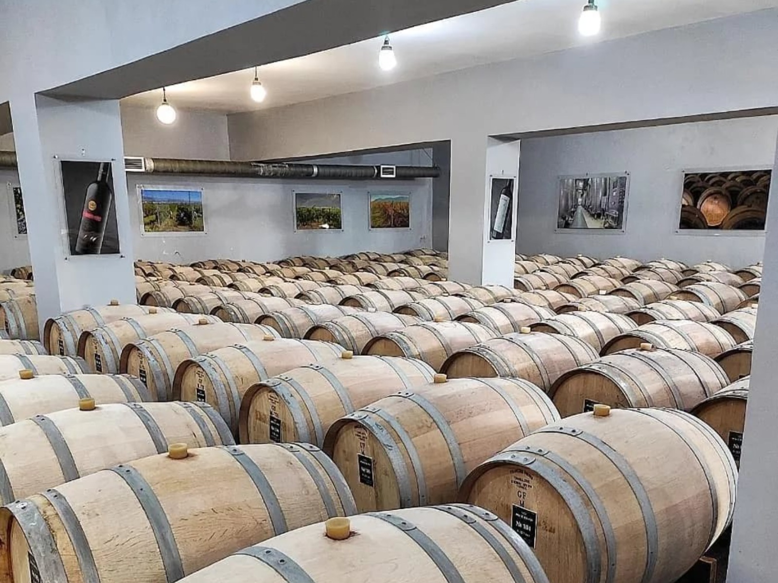 В "закромах" винодельни  