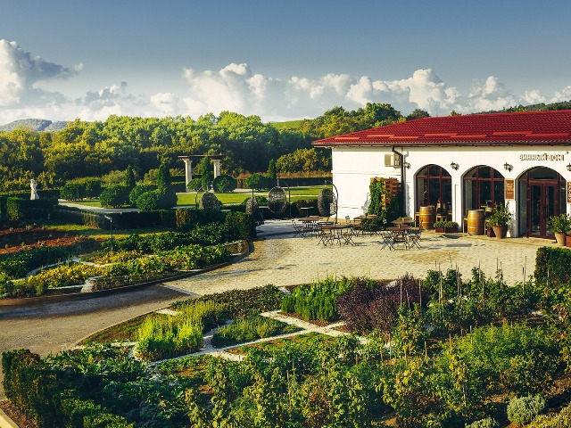 Винно-гастрономический тур на винодельню Лефкадия из Геленджика