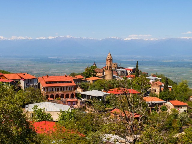 Индивидуальная однодневная экскурсия из Тбилиси в Кахетию