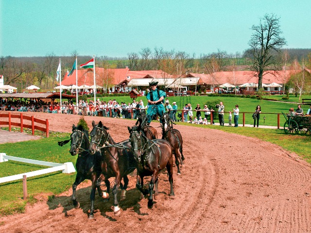 Индивидуальная экскурсия в конный парк «Лазарь» из Будапешта