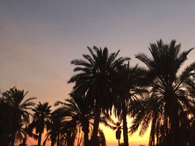 Экскурсия из Абу-Даби в Аль-Айн: высочайшая гора ОАЭ и джунгли