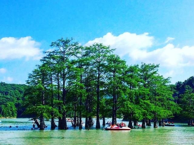 Экскурсия «Кипарисовое озеро и смотровые площадки Анапы»