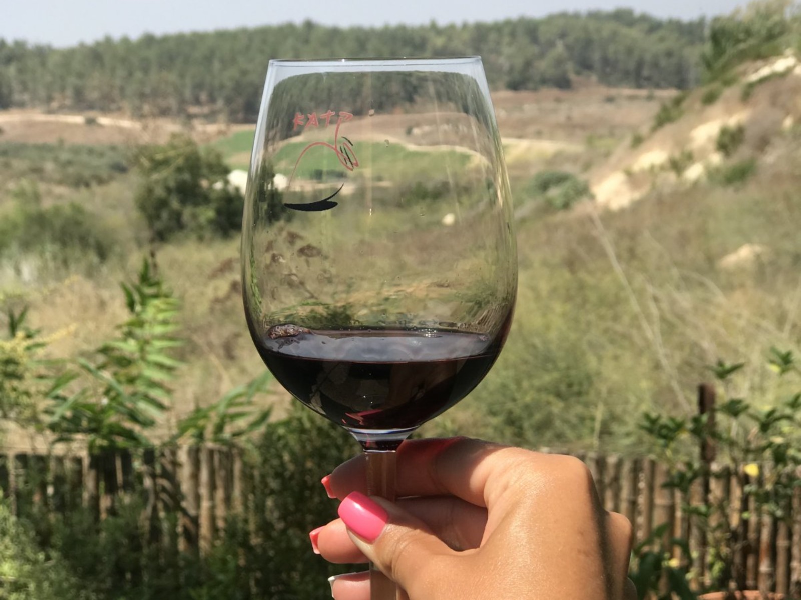 За Израиль!  