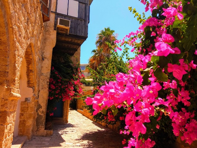 Индивидуальная экскурсия в Тель-Авиве по Старому Яффо