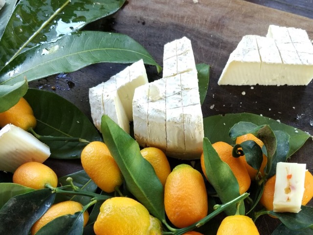 Гастрономическая экскурсия в Тель-Авиве: дорогами вина и сыра