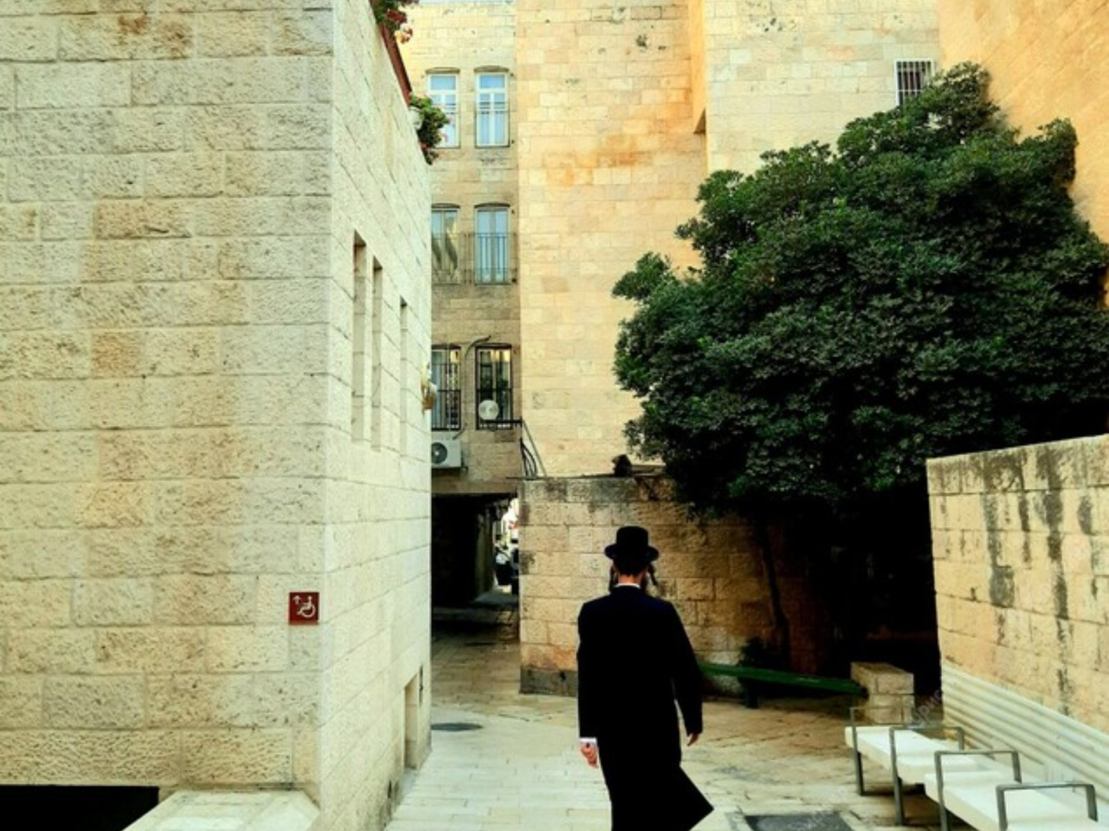 Ортодоксальный иудей