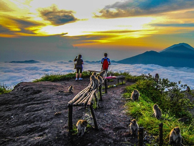Индивидуальная экскурсия на Бали: Батур, источники и водопад