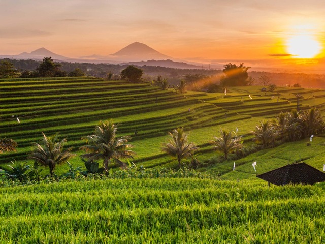 Индивидуальная экскурсия "Один день, чтобы влюбиться в Бали"