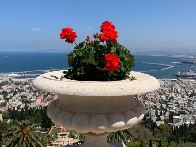 Обзорная экскурсия в приморские города Акко, Хайфа и Кейсария