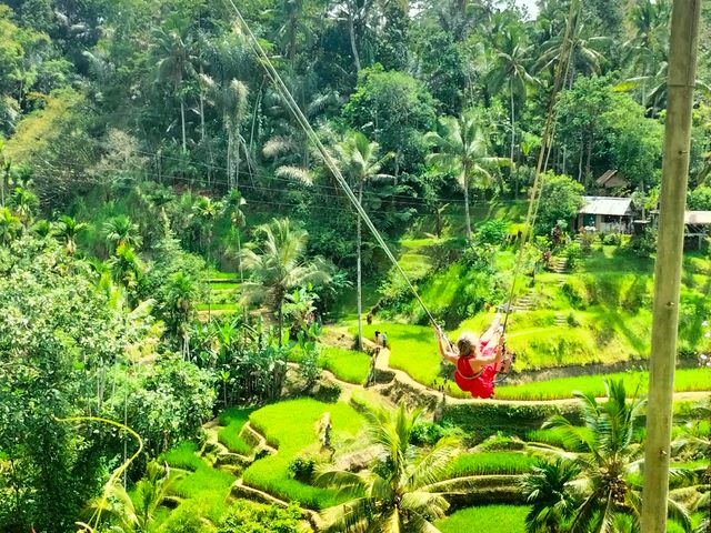 Индивидуальная обзорная экскурсия "Символы Бали за один день"