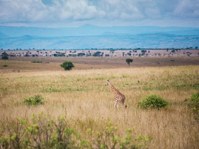 Экскурсии в Меру