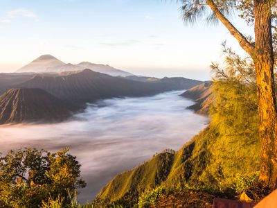 Экскурсии на Яве