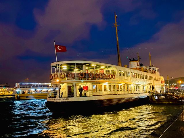 Индивидуальная обзорная экскурсия по ночному Стамбулу